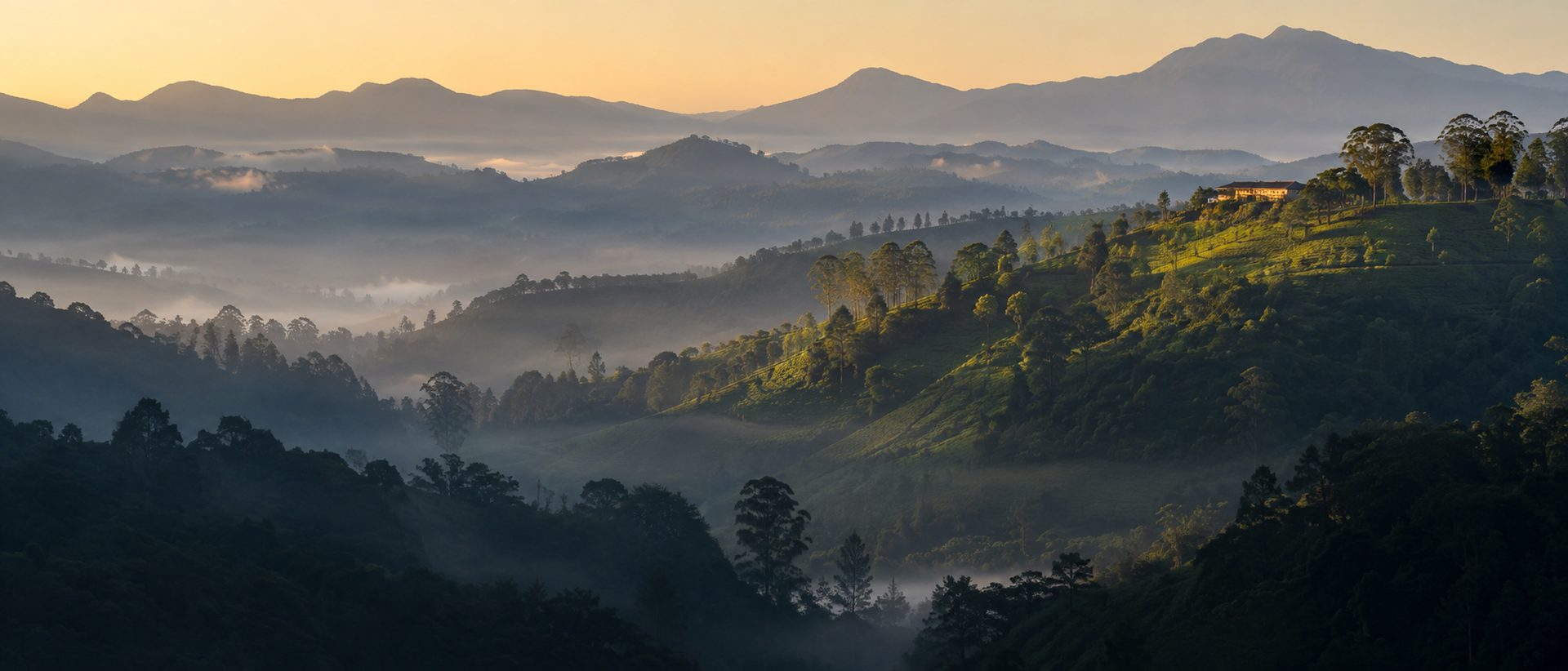 Layered ridgelines and morning mist over Sri Lanka's hill country